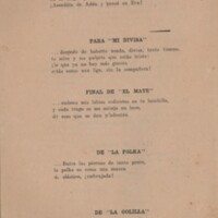 16 Santiago Lareu. Ensayo de metáforas nativas p.3.jpg