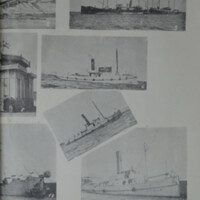 lobos de mar-3.jpg