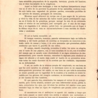 Relato En camino_FSV_En Arte - Revista Literaria y Social, N° 10, Montevideo, 1 de diciembre de 1909._page-306.jpg