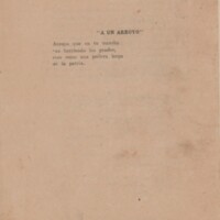 16 Santiago Lareu. Ensayo de metáforas nativas p.4.jpg