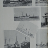 lobos de mar-2.jpg