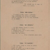 15 Santiago Lareu. Ensayo de metáforas nativas p.1.jpg