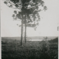 Otra vista de la meseta de Horacio Quiroga. Al fondo el Paraná. San Ignacio.jpg